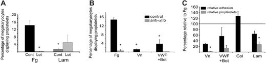 Figure 2. Inhibition of αIIbβ3 prevents proplatelet formation on fibrinogen, vitronectin, and VWF/botrocetin, but not on laminin. (A) Bone marrow aspirates from TPO-treated mice were plated on either 100 μg/mL fibrinogen (Fg) or 50 μg/mL laminin (Lam) in the presence of 10 μM lotrafiban, an αIIbβ3 antagonist. Cells were allowed to adhere for 3 hours at 37°C prior to PBS washing and fixation. Cells were visualized with αIIb-alkaline phosphatase staining, and the total number of adherent megakaryocytes and megakaryocytes with proplatelets was assessed for each coverslip. *Significant difference between control and lotrafiban treatment; + significant difference between fibrinogen and laminin. (B) Bone marrow aspirates were plated on fibrinogen, 10 μg/mL vitronectin (Vn), or 10 μg/mL VWF plus 3 μg/mL botrocetin (to ensure megakaryocyte/VWF binding under static conditions) in the presence or absence of an anti-αIIb antibody. The total number of adherent megakaryocytes and proplatelet-bearing megakaryocytes was determined as in panel A. *Significant difference between control and anti-αIIb treatment; + significant difference between fibrinogen and the other matrices. (C) Absolute cell numbers of adherent megakaryocytes and proplatelet-bearing megakaryocytes on vitronectin, VWF/botrocetin, 100 μg/mg collagen (Col), or laminin were normalized to the absolute amounts seen on fibrinogen in each individual experiment, with equal numbers equaling 100% relative to fibrinogen (solid line). Error bars indicate SEM, n = 3.