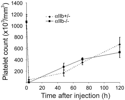 Figure 5. Platelet recovery after immune-induced thrombocytopenia is similar in αIIb+/- and αIIb-/- mice. Whole-blood platelet counts from αIIb+/- (♦, dashed line) or αIIb-/- (▪, solid line) mice were obtained prior to immune-induced thrombocytopenia (time point 0, n = 6), followed by injection of 2 μg/g anti-GPIbα antibody. Whole-blood platelet counts were then collected at the indicated time points after injection. Error bars represent SEM; n = 2 for 3-, 48-, and 72-hour time points, n = 4 for 120-hour time point.