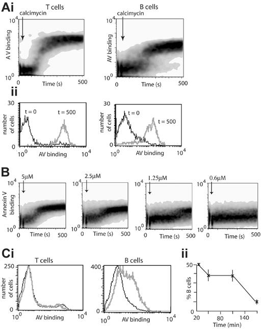 Figure 1. PS is localized in the inner membrane leaflet of murine B cells and exposed on stimulation. (A) Lymphocytes from C57BL/10 mice were labeled with anti-CD4APC (T-cell-specific) and anti-CD19PERCP (B-cell-specific) antibodies and preincubated with AVFITC. (Ai) Density plots of the rate of PS exposure (binding of AV) by T cells (CD4+; left panel) and B cells (CD19+; right panel) following stimulation with 5 μM calcimycin (arrows). (Aii) PS exposure by T- and B-cell populations following stimulation. Data are from the experiment shown in panel Ai, plotted as histograms to compare AV binding by cell populations gated at t = 0 seconds (black line) and t = 500 seconds (gray line) in T cells (left panel) and B cells (right panel). (B) Lymphocytes from C57BL/10 mice were labeled with anti-CD19PERCP (B-cell-specific) antibodies, preincubated with AVFITC and stimulated with calcimycin at the doses shown. Density plots illustrate the rate and degree of PS exposure (AV binding). (C) Spontaneous PS exposure and cell death in B-lymphocyte populations ex vivo. Lymphocytes from C57BL/10 mice were labeled with anti-CD4CYCHROME and anti-CD19APC antibodies, to distinguish T and B cells, and incubated with AVFITC. (Ci) Histograms show PS exposure (AV binding) by T cells (CD4+) and B cells (CD19+)30 minutes (black lines) and 2 hours (gray lines) after animals were killed. (Cii) Line graph shows the proportion (± SD) of cells stained with anti-CD19 antibody (B cells) within “live cell” gates as determined by forward and side light scatter at times shown following the time the animals were killed.