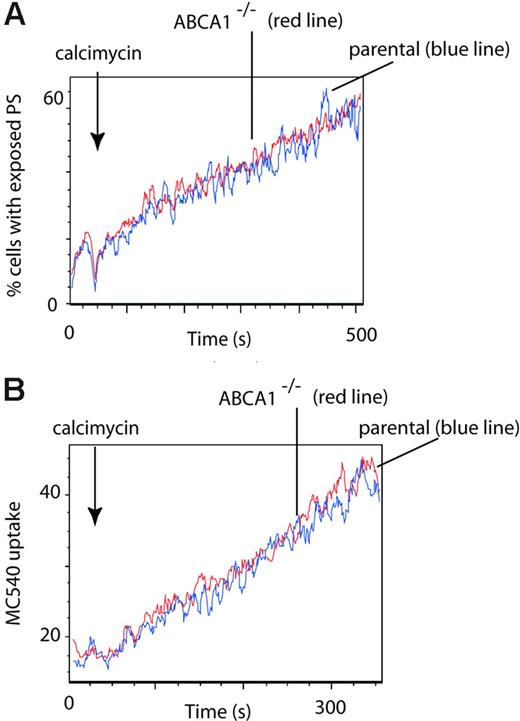 Figure 3. Calcium ionophore-stimulated PS exposure in murine B cells is ABCA1 independent. Lymphocytes from ABCA1-deficient mice and age-matched controls from the same colony were labeled with anti-CD19APC and anti-CD19PERCP antibodies, respectively, mixed and preincubated with AVFITC or MC540. Histograms show (A) the percentage of CD19+ B cells having exposed PS (indicated by binding of AV) following stimulation with 5 μM calcimycin (arrow), or (B) MC540 uptake by CD19+ B cells following stimulation with 2.5 μM calcimycin (arrow). ABCA1-/-, red line; parental, blue line.