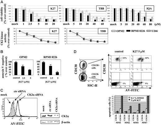 Figure 3. Effects of CK2 blockage on MM cell viability. (A) Top panels: MM cell lines (legend indicated at the far right) were grown for 48 hours in the absence or presence of increasing concentrations (as indicated) of the selective CK2 inhibitors. Viability was measured by the MTT method and is expressed as a percentage of vehicle-treated control. Bottom panels: Level of CK2 enzymatic activity was measured in MM cell (OPM2) lysates treated with the indicated concentration of inhibitors. For each inhibitor, results of 1 of 6 different experiments is shown; data are the mean ± SD. (B) Apoptosis of MM cell lines by CK2 blockage as measured by FACS analysis of annexin V/propidium iodide (AV/PI)-stained MM cells. Graph shows the survival (as AV-negative cells) of OPM2 and RPMI 8226 cells treated for 24 hours with 2 different doses of the CK2 inhibitor K27 (2.5 and 5 μM); data are the mean ± SD. (C) CK2α knock-down by RNA interference is associated with MM cell apoptosis. Left: Histogram shows the amount of AV-positive U266 MM cells after 96 hours from mock transfection or transfection with control (ctr) siRNAs or CK2α-specific siRNAs. Right: Western blot analysis of CK2α levels in mock, control (ctr) siRNA-, and CK2α-directed siRNA-transfected U266 MM cells. (D) Apoptosis of freshly isolated MM cells from patients on CK2 blockage. Top: Results of representative FACS experiment of AV/CD138 staining of freshly isolated BM cells from an MM patient (MM7) treated with K27 (5 μM); FACS analysis of apoptotic cells in the CD138+ and CD138- fractions is shown. Bottom: Graph shows the percentage of apoptotic cells (in the malignant CD138+ and nonmalignant CD138- populations) in freshly isolated PB or BM cells from 4 MM patients (MM1, MM2, MM4, MM7). Cells were treated with vehicle or K27, and apoptosis was assessed 8 hours later.