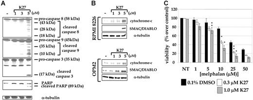 Figure 4. Molecular effects of CK2 blockage in MM cells. (A) Western blot shows the molecular consequences of CK2 inhibition in MM cells: cleavage of pro-caspases 8, 9, and 3 and of the downstream target PARP on treatment of OPM2 cells with increasing concentrations of K27 for 12 hours. (B) Western blot shows mitochondrial apoptotic mediators cytochrome c and SMAC/DIABLO release in the cytosol of OPM2 and RPMI 8226 cells treated with the indicated increasing concentrations of K27 for 12 hours. (C) CK2 blockage lowers the threshold of sensitivity to the cytotoxic effect of melphalan of MM cells. OPM2 cells were treated with the indicated increasing doses of melphalan in the absence (▪) or in the presence of subtoxic doses of the CK2 inhibitor K27 (0.3 μM, □;1 μM, ) and were subjected to MTT-based viability assay 48 hours later. Data are the mean ± SD. **P < .05; *P < .02.