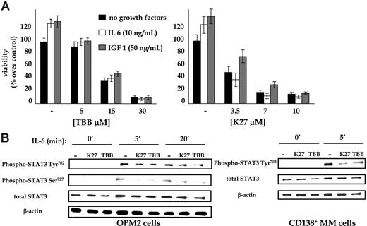 Figure 5. CK2 activity downstream from growth factors. (A) Effects of CK2 inhibition on MM cell growth (▪) were not reversed by the addition of survival stimuli such as IL-6 (20 ng/mL) (□) or IGF-I (100 ng/mL) (). OPM2 cells were cultured with the indicated stimuli in the absence or in the presence of TBB, K27, or both and then were subjected to MTT-based viability assay 48 hours later. Data are the mean ± SD. (B) Western blot analysis of the IL-6/STAT3 cascade in MM cells on CK2 inhibition. MM cells were serum starved for 4 hours (cell lines OPM2) or 2 hours (freshly isolated MM plasma cells from patients), incubated for 2 hours with 0.1% DMSO, (5 μM) K27, or 20 μM TBB and then stimulated for the indicated time points with 10 ng/mL IL-6. For MM cell lines, the levels of phospho-Tyr702 STAT3, phospho-Ser727 STAT3, and total STAT3, and for MM cells from patients the levels of phospho-Tyr702 STAT3 and total STAT3 were assessed, as indicated. β-Actin was used to measure protein loading.