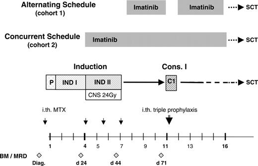 Figure 1. Study design indicating the 2 schedules of imatinib administration in conjunction with the GMALL protocols 06/99 and 07/03. P indicates prephase; INDI, induction phase 1; INDII, induction phase 2; C1, consolidation phase 1; SCT, stem cell transplantation; CNS 24 Gy, CNS irradiation, scheduled by protocol in patients having achieved a CR after INDI; ith, intrathecal chemotherapy; MTX, methotrexate; BM, bone marrow analysis; MRD, minimal residual disease analysis; and diag, diagnosis.