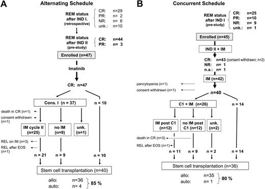 Figure 2. Flow chart of the disease status and treatment until transfer to stem cell transplantation in patients treated within the 2 study cohorts. (A) Alternating schedule. (B) Concurrent schedule. REM status indicates remission status; INDI, induction phase 1; INDII, induction phase 2; CR, complete remission; PR, partial remission, NR, nonresponder; unk, unknown; na, not available; C1, consolidation phase 1; IM, imatinib; REL, relapse; EOS, end of study; allo, allogeneic; and auto, autologous.