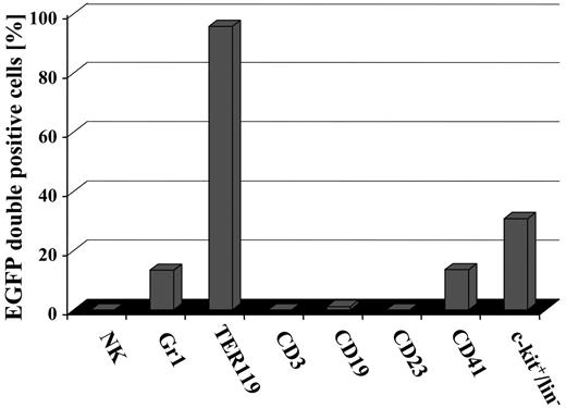 Figure 6. Induction of EGFP expression in SCL-tTA-2S/EGFP-lacZ double-transgenic mice is restricted to granulocytes, red blood cells, megakaryocytes, and c-kit+/lin- cells of the bone marrow. The presence of EGFP+ cells in DX5+ NK cells, Gr1+ myeloid cells, TER119+ red blood cells, CD3+ T-lymphoid cells, CD19+ cells, CD41+ megakaryocytes, CD23 mature B cells, activated macrophages, eosinophils, follicular dendritic cells, and the bone marrow lin-/c-kit+ population was determined by FACS.