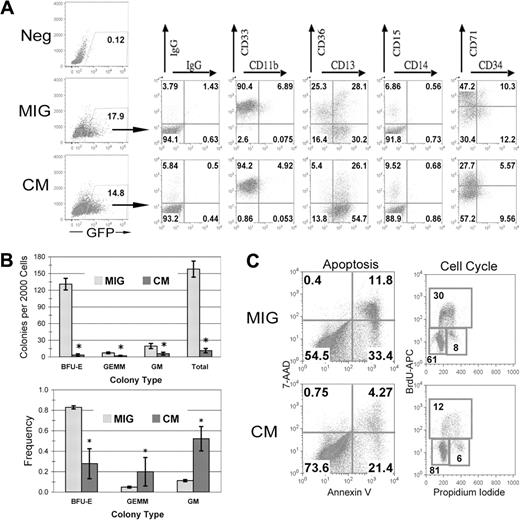 Figure 1. CBFβ-SMMHC expression inhibits human HSPC differentiation and negatively affects progenitor cell activity. (A) Human CD34+ cells were transduced and sorted for GFP expression. On the day of sorting, GFP+ cells were analyzed by flow cytometry for the indicated surface markers. (B) Two thousand GFP+ cells were plated in serum-free methylcellulose culture. Total colony numbers were scored after 14 days. Average total colonies (top) or frequency (bottom) are shown with SDs for a representative experiment. *P < .05. (C) After expansion of GFP+ cells for 3 days, apoptosis and cell cycle analysis by annexin V staining and BrdU incorporation, respectively.