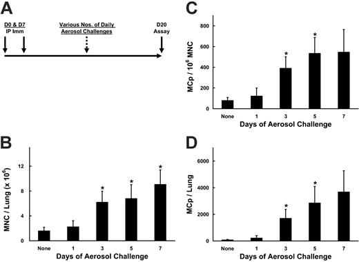 Figure 1. Time course for the increase in pulmonary MNCs and MCp's after OVA sensitization and challenge of BALB/c mice. (A) The protocol used for induction of pulmonary inflammation is depicted. Mice are sensitized intraperitoneally (IP Imm) with OVA and alum on days 0 and 7, and then challenged with aerosolized OVA daily, beginning on days 13, 15, 17, or 19, with assay on day 20. These mice received 7, 5, 3, or 1 daily challenges, respectively. (B) The mean number (± SEM) of lung MNCs recovered per BALB/c mouse is graphed for the various numbers of daily challenges as indicated. Values are means ± SE from 5 separate experiments, with following determinations (n) in each group: 0 (5); 1 day (3); 3 days (5); 5 days (4), 7 days (4). (C) The mean (± SE) MCp concentration (MCp's/106 MNCs) in the lungs of the same mice as in panel B. (D) The mean (± SE) total number of MCp's per lung from the same mice as in panel B. *Indicates statistical significance (P < .05) as determined by the 2-tailed Student t test.