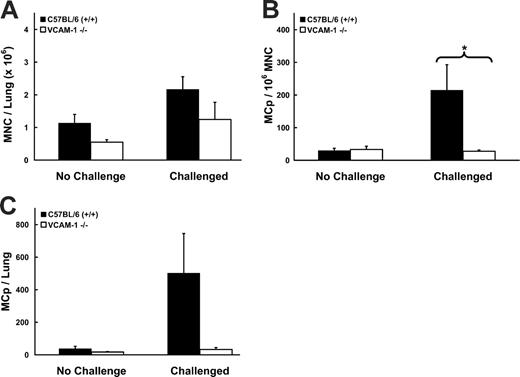 Figure 3. Effect of endothelial VCAM-1 deficiency on MCp recruitment to the inflamed lung. (A) Number of lung MNCs recovered per mouse from OVA-sensitized C57BL/6 (▪) and VCAM-1-deficient (□) mice with and without aerosolized OVA challenges. Values are the mean ± SEM from 3 separate experiments with MNCs pooled from 2 to 3 mice in each experiment. (B) Concentration of MCp's (MCp's/106 MNCs) in the lungs of the same mice. (C) Total number of MCp's per lung in the same mice. *Indicates statistical significance (P < .05) as determined by the 1-tailed Student t test.