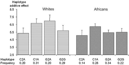 Figure 3. Association between plasma TAFI Ag levels and CPB2 haplotypes derived from the -2599C>G, -2345--2344insG, and -1690A>G polymorphisms. Polymorphisms are ordered according to their position on the genomic sequence. Each bar and its 95% CI bracket corresponds to the expected mean of TAFI Ag levels associated with one dose of haplotype under the assumption of additive haplotype effects.