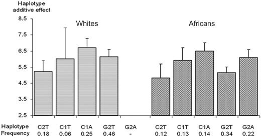 Figure 5. Association between plasma TAFI Ag levels and CPB2 haplotypes derived from the -2599C>G, -2345--2344insG, and 1583T>A polymorphisms. Polymorphisms are ordered according to their position on the genomic sequence. Each bar and its 95% CI bracket corresponds to the expected mean of TAFI Ag levels associated with one dose of haplotype under the assumption of additive haplotype effects.