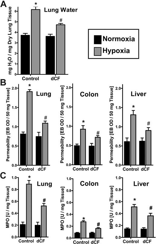 Figure 5. Influence of dCF on pulmonary edema, vascular permeability, and PMN accumulation in vivo. BL/6/129 mice were given injections of dCF (1 mg/kg intraperitoneally and 1 mg/kg subcutaneously) or PBS, and exposed to normoxia (room air) or normobaric hypoxia (8% O2 and 92% N2) for 4 hours. (A) Assessment of lung water content in normoxia (▪) and hypoxia () after dCF or PBS treatment. Data are expressed as mean ± SD mg H2O/mg dry tissue, and are pooled from 6 animals per condition. *Significantly different between hypoxia and normoxia (P < .025). #Significantly different between dCF treatment and vehicle control (P < .025). (B) To assess vascular barrier function, animals were administered intravenous Evan blue dye solution (0.2 mL of 0.5% in PBS) prior to normoxia/hypoxia exposure. Animals were killed, and the lung, colon, and liver were harvested. Organ Evan blue concentrations were quantified following formamide extraction (55°C for 2 hours) by measuring absorbances at 610 nm with subtraction of reference absorbance at 450 nm. Data are expressed as mean ± SD Evan blue optical density (OD)/50mg wet tissue, and are pooled from 6 animals per condition. Note that Evan blue retention increases with hypoxia and decreases with dCF treatment. *Significant differences between normoxia/hypoxia exposure (P < .01). #Significant differences between dCF/PBS treatment groups (P < .025). (C) Organ assessment of PMN accumulation by myeloperoxidase (MPO) measurements in the indicated organs after 4 hours of normoxia/hypoxia exposure (*P < .01 compared with hypoxia; #P < .025 compared with vehicle control). Error bars indicate SD.