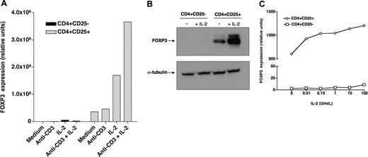 Figure 1. Recombinant IL-2 regulates FOXP3 expression in CD4+CD25+ Tregs. (A) CD4+CD25- (▪) and CD4+CD25+ () T cells purified from healthy individuals were cultured for 6 hours in the presence of recombinant IL-2 with or without anti-CD3 stimulation. FOXP3 expression was then assessed by quantitative PCR. (B) Purified CD4+CD25- and CD4+CD25+ cells were cultured for 18 hours with or without IL-2. Levels of FOXP3 protein were subsequently assessed by Western blotting. Control blotting of α-tubulin is also shown in this figure. (C) Purified CD4+CD25- (□) or CD4+CD25+ (○) cells were cultured for 6 hours with varying concentrations of IL-2 and then assessed for FOXP3 expression by quantitative PCR.