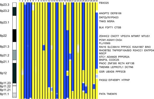 Figure 3. Regions of LOH on chromosome 8p can be used to drive supervised analysis of expression analysis to identify differentially expressed genes. Thirty samples (vertical lanes) with regions of LOH (blue) or heterozygosity (yellow) were used to identify which genes on 8p are differentially expressed between those samples with LOH and those without.