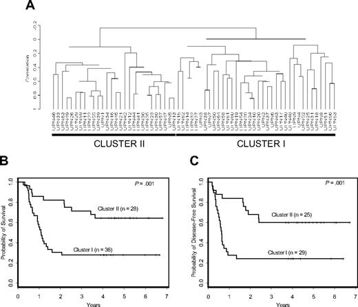 Figure 1. Prognostic significance of signature-based clusters in cytogenetically normal AML. (A) The Bullinger validation signature dichotomized uniformly treated CALGB patients with cytogenetically normal AML into 2 distinct clusters. Patients included in cluster I had a worse overall (B) and disease-free (C) survival compared with those in cluster II.