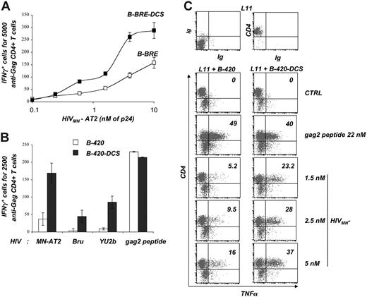 Figure 2. DC-SIGN promotes MHC-II-restricted HIV antigen presentation. (A) Reactivity of HS clone IV9. B-BRE and B-BRE-DCS cells were used as stimulators in an IFNγ ELISPOT assay. The effectors were autologous IV9 HS cells that recognize the gag1 epitope. Stimulating cells were exposed to the indicated concentrations of HIVMN-AT2. (B) Reactivity of HS clone L11. B-420 and B-420-DCS cells were used as stimulator cells in an IFNγ ELISPOT assay. The effectors were autologous L11 HS cells that recognize the gag2 epitope. B cells were exposed to HIVMN-AT2, HIVBru (both at 10 nM p24), and HIVYu2b (4 nM p24), or to the cognate gag2 peptide (100 nM). (A-B) Data are mean ± SD of triplicates and are representative of 3 independent experiments. (C) Analysis of the role of DC-SIGN by flow cytometry. B-420 and B-420-DCS cells were used as stimulators in an intracellular cytokine assay measuring the activity of autologous L11 HS cells. Stimulating cells were exposed to HIVMN-AT2 or to the cognate gag2 peptide at the indicated concentrations. After 6 hours of coculture, cells were stained for surface CD4 and intracellular TNFα, and analyzed by flow cytometry. Numbers in the right corner indicate the percentage of TNFα-positive cells among L11 cells, which are CD4+. B-420 and B-420-DCS cells are CD4-. Isotypic mAbs (Ig) were used as a negative control. Data are representative of 3 independent experiments.