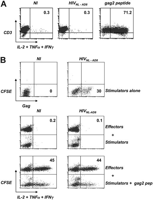 Figure 5. HS cells are not activated by cell-free virions or by HIV-infected lymphocytes. (A) Reactivity of HS clone L11 to cell-free virions. L11 cells were exposed to HIVNL-AD8 (8 nM p24) or the cognate gag2 peptide (44 nM) for 6 hours. Activity of L11 cells was tested by measuring intracellular cytokine production (IL-2, TNFα, and IFNγ) by flow cytometry. Cells were also stained with anti-CD3 mAbs. The percentage of cytokine+ cells is indicated. Isotypic mAbs were used as negative controls to set the quadrant position. Similar results were obtained after overnight incubation. Data are representative of at least 3 independent experiments. (B) Reactivity of HS clone L11 to HIV-infected lymphocytes. L11 cells previously activated by PHA and grown with IL-2 were infected with HIVNL-AD8 (8 nM p24). A few days later, the presence of productively infected cells was assessed by intracellular Gag staining (upper panel). The percentage of Gag+ cells is indicated. NI indicates control noninfected cells. Lower panels: These cells were then used as stimulators and cocultivated overnight with uninfected L11 cells, previously stained with CFSE. Cytokine production by stimulators (CFSE-) and effectors (CFSE+) was then assessed as described in panel A. As a positive control, stimulators were pulsed with the gag2 peptide (44 nM). The percentage of cytokine-positive cells among CFSE+ effectors is indicated. Data are representative of 3 independent experiments.