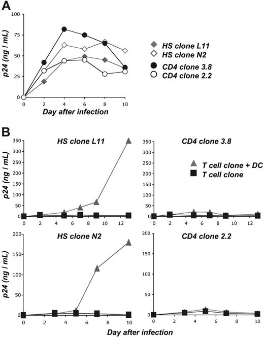 Figure 7. DCs promote infection of HS CD4+ cells. (A) Susceptibility of HS and control CD4+ clones to HIV replication. As a positive control for viral replication, 2 HS clones (L11 and N2) and 2 control clones with other antigenic specificities (3.8, 2.2) were activated with PHA and grown with IL-2. Cells were infected at a high moi (2 nM p24 for 3 × 105 cells). Viral replication was monitored at the indicated days by measuring Gag-p24 production in culture supernatants. (B) HIV-exposed DCs promote efficient viral replication in HS clones. imDCs were exposed to HIVNL-AD8 (0.2 nM p24 for 106 cells), washed, and cocultured with HS L11 or N2 cells and with control 3.8 or 2.2 cells. Cells were grown in the absence of exogenous IL-2. As a control, the 4 clones were directly exposed to the same viral inputs and cultured without DCs, in the presence of IL-2. Two independent experiments are assembled: autologous DCs were used in the upper panels, and HLA-matched (HLA-DRβ*04+) DCs were used in the lower panels. Viral replication was monitored by measuring p24 production in culture supernatants. Data are representative of 4 independent experiments.