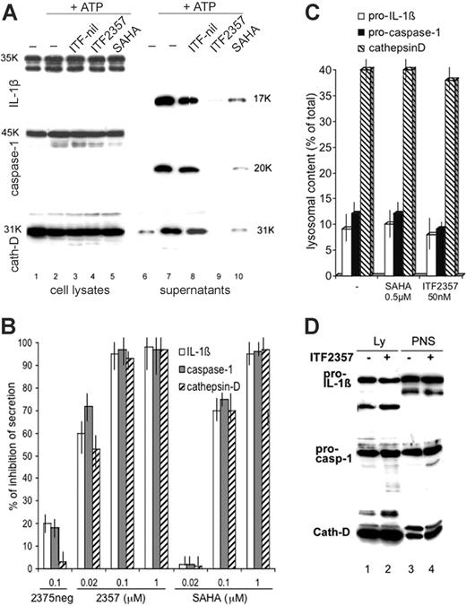 Figure 1. Both SAHA and ITF2357 inhibit IL-1β secretion but do not affect IL-1β intracellular accumulation and targeting. (A) Monocytes were activated 4 hours with LPS in the absence (lanes 1, 2, 6, and 7) or presence of 50 nM ITF2357 (lanes 4 and 9) or 50 nM of the negative compound ITF2375 (ITF-nil, lanes 3 and 8) or 0.5 μM SAHA (lanes 5 and 10), and then exposed to 1 mM ATP for 15 minutes (lanes 2-5 and 7-10). Supernatants and cell lysates were analyzed by Western blotting for the presence of IL-1β (top panel), caspase-1 (middle panel), and cathepsin D (cath-D, bottom panel). One representative experiment out of 10 performed is shown. (B) Densitometric analyses of Western blots of mature IL-1β, caspase-1, and cathepsin D secreted following exposure to different amounts of the 3 drugs as indicated. Results are expressed as percent of inhibition of secretion plus or minus standard error (SE) of a single experiment performed in triplicate. One representative experiment of at least 5 performed is shown. Data were validated by ELISA (not shown). In 13 different donors, IL-1β secreted in 15 minutes of ATP stimulation by 0.5 × 106 cells ranged between 5 ng and 15 ng (not shown). (C,D) Monocytes were cultured 4 hours with LPS, in the absence or presence of 50 nM ITF2357 or 0.5 μM SAHA, and a postnuclear supernatant (PNS) and an endolysosome enriched fraction were obtained as described in “Materials and methods.” (C) Densitometric analyses of Western blots showing the percent of pro-IL-1β, procaspase-1, and cathepsin-D in the lysosomal fractions of monocytes activated with LPS in the absence (-) or presence of SAHA or ITF2357. (D) Western blot of a representative experiment showing endolysosomal-enriched fractions (Ly, lanes 1 and 2) and aliquots (1/10) of postnuclear supernatants (PNS, lanes 3 and 4) from monocytes exposed for 4 hours to LPS (lanes 1 and 3) or to LPS and ITF2357 (lanes 2 and 4). Filters were hybridized with anti-IL-1β (top panel), anti-caspase-1 (middle panel), anti-cathepsin D (bottom panel). For each panel, one representative experiment of at least 3 performed is shown.