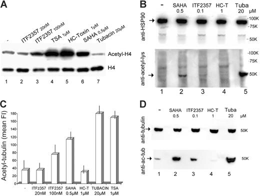 Figure 5. HDAC inhibitors induce acetylation of different intracellular targets. (A) Monocytes stimulated for 3 hours with LPS in the absence or presence of ITF2357 (20 nM or 100 nM), TSA (1 μM), HC-toxin (HC-T; 1 μM), SAHA (0.5 μM), or tubacin (20 μM) were fractionated to obtain nuclei, which were subjected to SDS-PAGE and Western blotting. Filters were hybridized with anti-histone H4 (bottom panel) or anti-acetyl-H4 (top panel). (B) Monocytes stimulated for 3 hours with LPS in the absence or presence of SAHA (0.5 μM), ITF2357 (0.1 μM), HC-toxin (HC-T; 1 μM), or tubacin (tuba; 20 μM) were lysed and cell lysates were analyzed by Western blotting with anti-HSP90 (top panel) or anti-acetyl-lysine (bottom panel). The arrow in the top panel indicates HSP90; the arrow in the bottom panel indicates a 50-kDa band, probably corresponding to acetylated tubulin-α. (C) Monocytes treated as in panel A were fixed, permeabilized, and stained with anti-tubulin-α (not shown) or anti-acetyl-tubulin-α and analyzed by cytofluorimetry. Monocytes treated with the different inhibitors stained equally with anti-tubulin-α (not shown) but differently with anti-acetyl-tubulin-α. Data are expressed as mean fluorescence intensity (mean FI) of cells stained with anti-acetyl-tubulin-α. (D) Monocytes treated as in panel B were lysed and analyzed by Western blotting with anti-tubulin-α (top panel) or anti-acetyl-tubulin-α (bottom panel). Arrows indicate tubulin-α and acetyl-tubulin-α, respectively. For each panel, one representative experiment of at least 4 performed is shown.