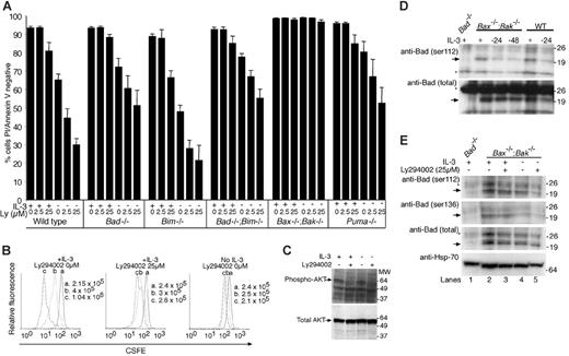 Figure 5. PI3 kinase inhibitor Ly294002 causes apoptosis in the presence or absence of IL-3 in all cell lines except those lacking both Bax and Bak. (A) Cells of the indicated genotypes were cultured for 24 hours with or without IL-3 with or without the addition of Ly294002 (25 μM). Cell viability was determined by staining with FITC-coupled annexin V and PI followed by flow cytometric analysis. Data show the mean ± SEM of 3 independent experiments using 2 independent lines of each genotype. (B) Ly294002 inhibits proliferation in Bax-/-;Bak-/- cells. Cells were stained with CSFE and cultured in the presence of IL-3 alone (left panel), IL-3 plus Ly294002 (middle panel), or without IL-3 (right panel). At 0 (a), 24 (b), and 48 hours (c), the cells were counted and CFSE fluorescence determined by flow cytometric analysis. The histograms for each time point are overlaid. CFSE fluorescence declines (shifts to the left) as cell number increases. The results shown are from one experiment that is representative of 3 independent experiments with different Bax-/-;Bak-/- clones. (C) Bax-/-;Bak-/- cells were cultured in the presence or absence of IL-3 and plus or minus Ly294002 (25 μM). Lysates from these cells were run on SDS-PAGE and immunoblotted with antibodies recognizing only phosphorylated AKT (S473) or total AKT. (D) Bad phosphorylated on S112 and total Bad decline following IL-3 withdrawal. Western blot of lysates harvested from Bax-/-;Bak-/- cells cultured with IL-3 (+), or 24 or 48 hours following IL-3 withdrawal (-), and from wild-type cells cultured with IL-3, or 24 hours following IL-3 withdrawal, were probed with antibodies to S112 phospho-Bad or total Bad. Arrows indicate Bad and asterisks mark nonspecific bands. Lysates from equal numbers of cells were loaded in each lane. (E) Ly294002 reduces the level of both phosphorylated Bad and total Bad when combined with IL-3 withdrawal. Western blot of lysates from Bax-/-;Bak-/- cells cultured for 24 hours with or without IL-3 and Ly294002 (25 μM) for 24 hours were probed with antibodies to S112 or S136 phospho-Bad or total Bad. Probing with an antibody to Hsp-70 was used as a loading control. Lysates from equal numbers of cells were loaded in each lane. Arrows indicate Bad and asterisks mark nonspecific bands.