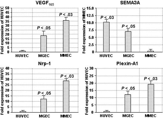 Figure 1. Expression levels of VEGF165, SEMA3A, NRP1, and plexin-A1 genes in the EC types, as evaluated by real-time RT-PCR. Data are shown as fold expression of the lowest transcribed value. The absolute values (as ng/μL) of VEGF165, NRP1, and plexin-A1 in HUVECs were as follows: 380 ± 55, 540 ± 75, and 420 ± 58, respectively; the absolute value of SEMA3A in MMECs was 213 ± 46. Significance of changes determined by the Wilcoxon-Wilcox test.