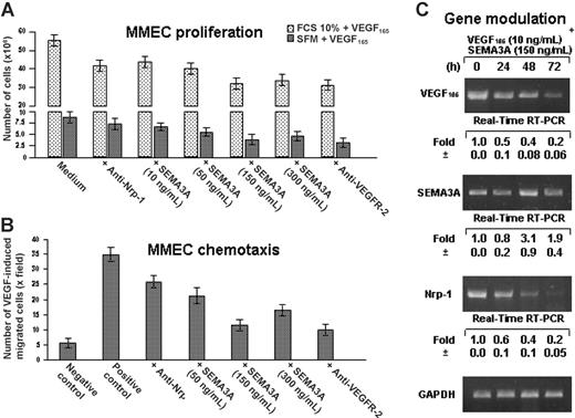 Figure 5. VEGF165-induced proliferation of MMECs (with or without FCS 10%) in the presence of different SEMA3A doses, or anti-NRP1 and/or anti-VEGFR-2 antibodies. Data are presented as mean plus or minus 1 SD (A). Effect of VEGF165, alone or in the presence of SEMA3A, on MMEC chemotaxis. Bars represent the mean plus or minus 1 SD of the number of migrated cells per 5 high power fields in triplicate wells (B). Significance of changes by the Wilcoxon-Wilcox test. Gene modulation in presence of exogenous SEMA3A by RT-PCR and real-time RT-PCR (C) at different times of collection. Data are expressed as fold expression of baseline (time 0) value.