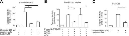 Figure 3. Macrophage protection caused by an apoptotic cell-derived soluble factor. (A-C) Caspase-3 activity in etoposide-treated (8 hours, 250 μM) THP-1 macrophages normalized to untreated controls. Cells and media were preincubated for 16 hours. Data are presented as the mean ± SD from 3 independent experiments. Statistical differences between samples are marked with an asterisk (P < .05). (A) Cells remained untreated or were treated with apoptotic cells alone or in combination with 2 μM cytochalasine D. (B) Cells remained untreated or were treated with conditioned media from macrophages cocultured with apoptotic cells (ACCM), necrotic cells (NCCM), or conditioned medium from apoptotic cells (ACM). (C) Cells remained untreated or were pre-exposed to apoptotic cells in transwell inserts for 16 hours prior to stimulation with etoposide.