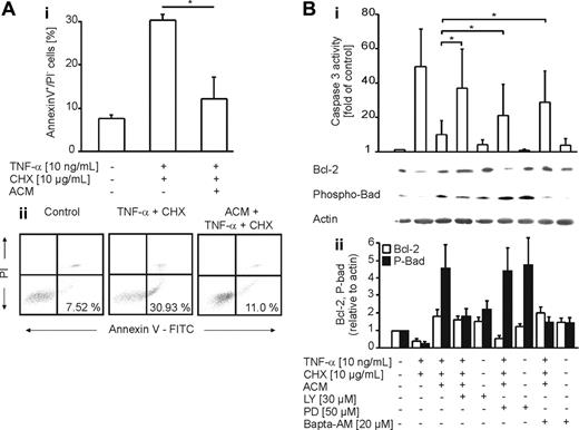 Figure 4. Protection of primary human macrophages by ACM is PI3K-, Ca2+-, and ERK1/2-dependent. (A) Human primary monocyte-derived macrophages remained untreated or were exposed to ACM for 16 hours. Following a medium change, apoptosis was induced for 8 hours with 10 ng/mL TNF-α and 10 μg/mL CHX. Viability was assessed by annexin V/PI staining and FACS analysis. (i) Data in histograms are presented as the mean ± SD from 3 independent experiments. Statistical differences are marked with an asterisk (P < .05). (ii) Typical FACS traces. (B) Human primary macrophages were not treated or were exposed to ACM for 16 hours in the presence or absence of LY92004, PD98059, or Bapta-AM at the indicated concentrations. Apoptosis was induced for 8 hours with 10 ng/mL TNF-α and 10 μg/mL CHX. (i) Caspase-3 activity. Data are presented as the mean ± SD from 6 independent experiments. Significant differences between samples are marked with an asterisk (P < .05). Western analysis shows expression of Bcl-2 and phospho-Ser136-Bad. One representative experiment of 3 is displayed. (ii) Quantification of Western data normalized to actin by using AIDA software. Data are presented as the mean ± SEM from 4 independent experiments.