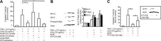 Figure 5. Sphingosine-1-phosphate conveys protection. (A-C) Apoptosis in human primary macrophages was induced for 8 hours with 10 ng/mL TNF-α and 10 μg/mL CHX. (A) Cells remained untreated or were treated with ACM, the ACM-lipid fraction, the ACM-aqueous fraction, ACM derived from Jurkat cells exposed to DMS prior to initiation of apoptosis (ACM-DMS), or the ACM-lipid fraction specific for S1P extraction (S1P-extraction), 16 hours prior to induction of cell death. Caspase-3 activity was quantified as described in “Materials and methods.” Data are presented as the mean ± SD from 4 independent experiments. Significant differences between samples are marked with an asterisk (P < .01). (B) Cells were not treated, exposed to the ACM, or stimulated with 10 μM S1P for 16 hours. Western analysis shows expression of Bcl-2, Bcl-XL, and phosphorylated Ser136-Bad. One representative experiment of 3 is displayed. Histograms show quantification of Western data normalized to actin by using AIDA software. Data are presented as the mean ± SEM from 3 independent experiments. (C) Cells remained untreated or were exposed for 16 hours to ACM alone or to ACM after pretreatment with 100 nM FTY720 for 1 hour followed by further incubations of 48 hours. Afterward, TNF-α/CHX treatments lasted for 8 hours. Data are presented as the mean ± SD from 4 independent experiments. Significant differences between samples are marked with an asterisk (P < .05).