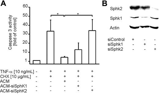 Figure 7. Sphk2 expression in apoptotic cells contributes to the release of S1P. (A) Apoptosis in human primary macrophages was induced for 8 hours with 10 ng/mL TNF-α and 10 μg/mL CHX. Cells remained untreated or were treated with ACM or ACM from Jurkat cells nucleofected with siRNA to target Sphk1 or Sphk2, 16 hours prior to induction of cell death. Caspase-3 activity was quantified as described in “Materials and methods.” Data are presented as the mean ± SD from 4 independent experiments. Significant differences between samples are marked with an asterisk (P < .05). (B) Jurkat cells were nucleofected with control siRNA or siRNA against Sphk1 or Sphk2. Western analysis shows Sphk1 and Sphk2 expression. One representative experiment of 3 is displayed.