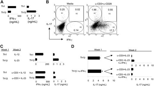 Figure 1. IL-23-cultured CD4+ T cells transiently secrete IL-17 and progress to a Th1 cytokine-secreting profile. (A) CD4+ T cells from C57BL/6 mice were activated with α-CD3 and α-CD28 and cultured with α-IL-4. IL-12 or IL-23 was added to the culture to generate Th1 or Th1β cells, respectively. Cells were cultured for 3 days and expanded in the presence of IL-12 or IL-23 for 2 additional days. After 5 days, cells were left unstimulated or were restimulated with α-CD3 for 24 hours, and cell-free supernatants were analyzed for IL-17 and IFN-γ secretion using ELISA. (B) Th1β cells were cultured for 5 days as in panel A. Cells were replated with media alone or restimulated with α-CD3 and α-CD28 for 5 hours in the presence of Brefeldin A. Cells were fixed, permeabilized, and stained with PE-α-IL-17 and FITC-α-IFN-γ antibodies and analyzed for intracellular cytokine staining by flow cytometry. Numbers indicate percentage of cells within each region. (C) Th1 or Th1β cells differentiated for 5 days (week 1) in panel A were cultured for 5 additional days (week 2) with or without plate-bound α-CD3. Th1 and Th1β cultures were maintained in media containing IL-12 or IL-23, respectively. At day 10, live cells were cultured in the presence or absence of plate-bound α-CD3 for 24 hours, and supernatants were analyzed for IFN-γ and IL-17 production using ELISA. Unstimulated cultures at day 10 did not produce detectable levels of cytokine. (D) Five-day Th1β cultures differentiated in the presence or absence of α-IFN-γ (10 μg/mL) were restimulated as in panel A, and cell-free supernatants were measured for IL-17 quantities using ELISA (week 1). In parallel, 5-day differentiated cells were cultured for 5 more days (week 2) in the presence of plate-bound α-CD3 and maintained in media containing IL-23 with or without α-IFN-γ as indicated in the figure. Two-week cultures were restimulated as in panel C, and IL-17 levels from cell-free supernatants were measured using ELISA. ELISA data are represented as mean ± SE of replicate samples.
