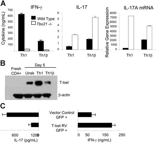 Figure 2. T-bet negatively regulates Th1β development. (A) WT and Tbx21-/- CD4+ T cells were cultured under Th1 (IL-12 + α-IL-4) or Th1β (IL-23 + αx-IL-4) conditions for 5 days and restimulated with α-CD3 for 18 hours. Cell-free supernatants were analyzed for IFN-γ or IL-17 using ELISA. Unstimulated populations did not produce detectable levels of cytokine. RNA was extracted from T cells activated for 18 hours, and duplicate samples were quantified by real-time PCR for IL-17A mRNA. Cycle number was normalized to β2-microglobulin mRNA and is represented as fold induction relative to unstimulated wild-type Th1 cells. ND indicates not detected. (B) WT CD4+ T cells from C57BL/6 mice were cultured with α-IL-4 alone (Unsk.) or under Th1 or Th1β conditions for 5 days as described in Figure 1A. Protein lysates from freshly isolated CD4+ T cells or differentiated cells were assayed for T-bet expression by immunoblot. (C) WT Th1β cells were cultured for 2 days and infected with a bicistronic retrovirus expressing EGFP alone (vector control) or T-bet and EGFP (T-bet RV). Cells were cultured for 3 more days, and EGFP-positive cells were sorted and restimulated with α-CD3 or left unstimulated for 18 hours. Cell-free supernatants were analyzed for IL-17 and IFN-γ production. Unstimulated cell populations did not produce detectable cytokine levels. ELISA data are represented as mean ± SE of replicate samples.
