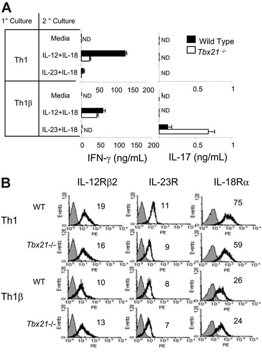 Figure 3. T-bet negatively regulates cytokine-induced IL-17 production but does not augment cytokine receptor expression on Th1 or Th1β cells. (A) WT or Tbx21-/- Th1 or Th1β cells were cultured for 5 days as in Figure 1A (1° culture). Cells were restimulated with media alone or the indicated cytokines (2° culture) for 18 hours and analyzed for IFN-γ or IL-17 production using ELISA. ND indicates not detected. (B) WT or Tbx21-/- Th1 or Th1β cells were cultured as in Figure 1A. IL-12Rβ2, IL-23R, or IL-18Rα expression was assessed using flow cytometry. Numbers within each histogram represent mean fluorescent intensities averaged from 2 independent experiments. Black line indicates receptor staining; gray fill, control staining. ELISA data are represented as mean ± SE of replicate samples.