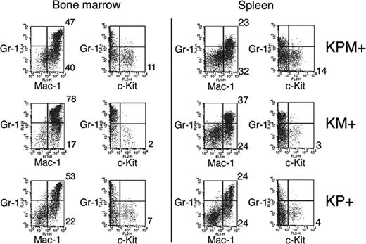 Figure 3. Flow cytometric analysis of bone marrow and spleen cells from KPM+, KM+, and nondiseased KP+ mice. Bone marrow and spleen cells from APL-diseased KPM+ (n = 5), KM+ (n = 6), and nondiseased KP+ (n = 3) mice were stained with a combination of antibodies to Gr-1, Mac-1, and c-Kit. Dot plots are shown for viable cells gated on the basis of scatter properties and 7-aminoactinomycin D staining. Representative data are shown with the percentages of cells in quadrants of interest indicated.