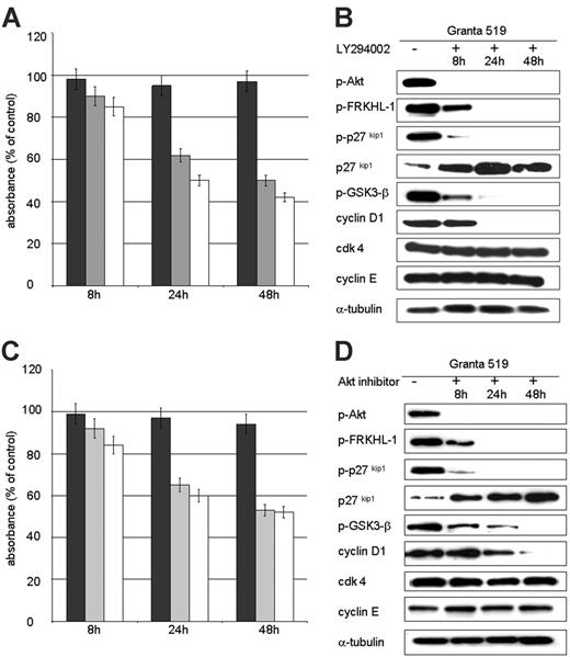 Figure 6. Inhibition of the PI3K/Akt pathway leads to up-regulation of p27kip1 and loss of cyclin D1 expression. PI3K/Akt pathway inhibition studies were performed with the 4 MCL cell lines and the non-Akt-activated control cell line RAJI using 3 different inhibitors: LY294002, wortmannin, and Akt inhibitor (Calbiochem). Comparable results were obtained for each MCL cell line, and results with Granta 519 using LY294002 or Akt inhibitor are shown as representative experiments. (A,C) Proliferation/viability as assessed by MTT test. Results are averages of 3 individual experiments and are displayed as percent absorbance of control cells (untreated) with Granta 519 (□), Z138C (), and RAJI (▪). A significant reduction in absorbance to 50% of control values after 48 hours is seen in the MCL cell lines, whereas the non-Akt-activated control RAJI shows no significant reduction. (B,D) Western blot analysis with Granta 519 demonstrates Akt inactivation at 8 hours, followed by abrogation of phosphorylation of FRKHL-1, p27kip1, and GSK-3β by 24 hours. The cell-cycle inhibitor p27kip1 shows a gradual increase in expression levels over time, and cyclin D1 is dramatically down-regulated. In contrast, cdk4 and cyclin E remain constant. α-tubulin expression is shown as loading control.
