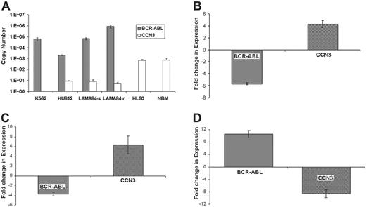 Figure 3. CCN3 expression is reduced in human BCR-ABL+ cell lines and can be reversed in K562 cells treated with imatinib or siRNA to BCR-ABL. (A) RNA was extracted from human CML cell lines (K562, KU812, LAMA), BCR-ABL- cells (HL60), and NBM, and subjected to real-time PCR to identify the level of BCR-ABL () and CCN3 (□) expression. Level of gene expression is shown as Ct values (n = 3). (B) K562 cells were treated with imatinib (1 μM) for 96 hours, and gene expression was analyzed by real-time PCR. Fold changes in BCR-ABL () and CCN3 (□) expression as a result of imatinib treatment are shown (n = 3; P = .001). (C) K562 cells were treated with siRNA directed to BCR-ABL (0.5 μg/106 cells) for 24 hours. Real-time PCR was used to identify changes in BCR-ABL () and CCN3 (□) transcripts, which are shown as fold change in expression (n = 3; P = .001). (D) Levels of BCR-ABL () and CCN3 (□) transcripts were compared using real-time PCR in human CML cells that are sensitive (LAMA84-s) and resistant (LAMA84-r) to imatinib. Alterations in BCR-ABL and CCN3 expression as a result of imatinib resistance are shown as fold changes (n = 3; P = .001).