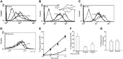 Figure 2. Involvement of PGE2 on the induction of FcγRIIA surface protein expression during differentiation and on phagocytosis by differentiated cells. (A) The effect of PGE2 on induction of FcγRIIA surface expression: induction of differentiation of PLB-D by 1,25(OH)2D3 alone (D) or with addition of 12 μM PGE2 every day during 4 days of differentiation (D+PGE2). The unlabeled histogram shows the undifferentiated cells. The left plot (N) represents the negative control. The mean medians of 3 experiments are 9.5 ± 1.9, 7.6 ± 2.1, and 19.4 ± 2.2 for undifferentiated, differentiated with vitamin D (Vit D), and with Vit D with PGE2, respectively. (B) The effect of indomethacin on FcγRIIA surface protein induction and on PGE2 secretion during differentiation of PLB cells. Induction of differentiation by 1,25(OH)2D3 alone (D) or with addition of 30 μM indomethacin every day during 4 days of differentiation (D+Indo), which caused total inhibition, overlapping the undifferentiated cells (unlabeled histogram). The left plot (N) represents the negative control. In the insert the levels in the culture medium during differentiation of PLB cells in the absence (D) or presence of 30 μM indomethacin every day during 4 days of differentiation (D+Indo) are shown. (C) The effect of indomethacin on FcγRIIA surface protein induction during differentiation of HL-60 cells. Induction of differentiation by 1,25(OH)2D3 alone (D) or together with the addition of 30 μM indomethacin every day during 4 days of differentiation (D+Indo), which caused total inhibition, overlapping the undifferentiated cells (unlabeled histogram). The negative control (N) is shown in the left plot. (D) The effect of indomethacin on FcγRIIA expression in cultured monocytes. Indomethacin (30 μM) was added every 12 hours during 4 days of culture (Indo). Medians ± SEM of 5 independent experiments: 557 ± 87 and 410 ± 67 without and with indomethacin, respectively. Histograms in all parts of the figure are representative of 3 experiments unless otherwise indicated. (E) The kinetics of phagocytosis of OZ by PLB cells (•) and PLB-D cells (○) differentiated for 4 days by 1,25(OH)2D3. (F) Phagocytosis of OZ, assayed for 15 minutes, by differentiated PLB-D by 1,25(OH)2D3 alone or with daily addition of 12 μM PGE2 during 4 days of differentiation. Phagocytosis by differentiated PLB cells is represented by the dotted column. (G) Phagocytosis of zymosan particles by differentiated PLB cells or PLB-D cells by 1,25(OH)2D3, assayed for 30 minutes. The results are the mean ± SE from 3 experiments in each assay.