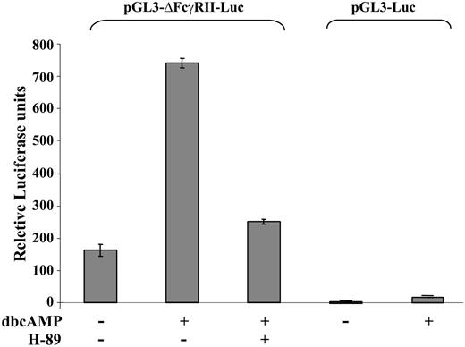 Figure 5. Activation of CRE in PLB cells. PLB cells were transiently transfected with pGL3-ΔFcγRIIA-Luc reporter plasmid or pGL3-Luc as described in “Materials and methods,” and treated for 16 hours with 10 mM dbcAMP in the absence or presence of 10 μM H-89. Reporter activity is expressed as fold increase in luciferase activity, which was standardized to Renilla luciferase expression used as an internal control. Relative luciferase units ± SE (bars) of 3 independent experiments, each done in triplicate.