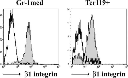 Figure 4. β1 and β7 integrins are not essential for myeloid and erythroid development. The β1 integrin expression of immature granulocytes (Gr-1med) and erythroblasts (Ter119+) of control (filled) and β1β7 mutant BM chimeras (line) is shown in representative histogram overlays.