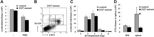 Figure 6. Reduced number of splenic CFUe's after hemolytic stress. (A) Single-cell suspensions from BM of control and β1β7 mutant mice (no BM transplantation) untreated and treated at day 1 and 2 with PHZ were prepared at day 4, stained with Ter119 antibody, and subsequently analyzed by FACS. The total amount of Ter119+ erythroblasts per femur is shown. Error bars show the standard deviation (n (controls)/(β1β7 mutants): 4/4). (B) BM single-cell suspensions from PHZ treated β1β7 mutant BM chimeras were prepared, stained with antibodies against α4, β1 integrin, CD71, and Ter119 and subsequently analyzed by FACS. (Ter119-CD71 staining distinguishes 5 different developmental stages.) (C) The amount of erythroid BM cells of PHZ-treated β1β7 mutant mice for each of the 5 developmental stages as distinguished by Ter119 and CD71 is shown. Error bars show the standard error (n (controls)/(β1β7 mutants): 4/4). (D) Single-cell suspensions from BM of control and β1β7 mutant mice (no BM transplantation) treated at day 1 and 2 with PHZ were prepared at day 4 and tested for CFUe's. Total numbers of colonies per femur and spleen are shown. Error bar shows the standard error (n (controls)/(β1β7 mutants): 3/3).