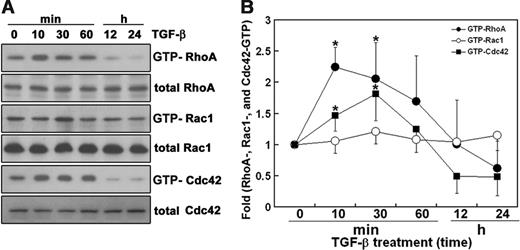 Figure 5. TGF-β1 up-regulates and then down-regulates the GTP-bound form of RhoGTPases. (A) Cells were incubated with or without 5 ng/mL TGF-β1 for the indicated times at 37°C and lysed in a buffer containing 1% Triton X-100. GST-RBD and GST-PBD were mixed with the cell extracts, which were incubated with GSH-Sepharose beads. The beads were washed, and bound proteins were fractionated on SDS-PAGE. Western blotting was performed with anti-RhoA, anti-Rac1, and anti-Cdc42 antibodies. (B) Protein amounts expressed by Western blot were quantitated by densitometry, and relative amounts of GTP-bound form at the indicated time were presented as fold. GTP-bound form/total protein at time 0 was expressed as 1. The values were means ± SE of 3 independent experiments (*P < .05).