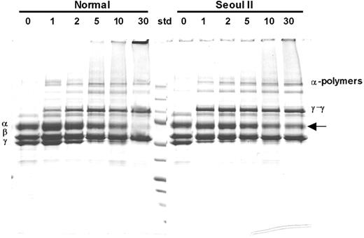 Figure 4. SDS-PAGE analysis of factor XIIIa–catalyzed cross-linking of fibrin. SDS-PAGE analysis of γ-dimer and α-polymer formation upon thrombin treatment in the presence of factor XIII and calcium in heterozygous Seoul II fibrinogen (right) and normal control. Incubation with thrombin for 0, 1, 2, 5, 10, and 30 minutes formed clots, respectively. More Aα-chain bands remain for the heterozygous Seoul II fibrin clot (arrow) after 30 minutes of reaction time compared to the normal control, suggesting that Aα-chain cross-linking is impaired by Seoul II mutation. Standard (Std) size equals 250, 150, 100, 75, 50, 37, 25, 15, and 10 kDa from top to bottom, respectively.
