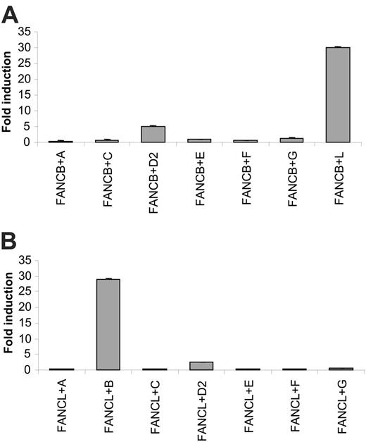 Figure 2. Direct interactions between FANCL and FANCB in the mammalian 2-hybrid assay. Protein pairs were cotransfected in 293 cells in the presence of a luciferase reporter construct to test for direct interactions. All experiments were performed in triplicate. (A) AD-FANCL was cotransfected with BD-FA proteins. Fold induction of luciferase expression is relative to FANCL alone. (B) AD-FANCB was cotransfected with BD-FA proteins. Fold induction of luciferase expression is relative to FANCB alone.
