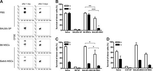 Figure 5. Allogeneic MSCs trigger the onset of a memory T-cell response. (A-B) B6 mice were infused with PBS, BALB/b splenocytes (0.5 × 106), BALB/b MSCs (0.5 × 106), or B6 MSCs (0.5 × 106). (C) BALB/c mice were infused with PBS, B6 splenocytes (0.5 × 106), B6 MSCs (0.5 × 106), or BALB/c MSCs (0.5 × 106). (D) Balb/c mice were injected with PBS, C3H splenocytes (0.5 × 106), BALB/c MSCs (0.5 × 106), or C3H MSCs (0.5 × 106). After 4 weeks, in vivo cytotoxicity assay was performed and peripheral blood was harvested after 1 and 3 days (A-B) or after 3 hours and 1 day (C-D). Representative dot plots are displayed (A). Results are expressed as the mean survival (± SD) of allogeneic donor cells of 2 independent experiments (B-D). *P < .05; **P < .001; ***P < .001 compared with syngeneic MSCs.