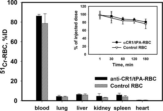 Figure 4. Anti-CR1/tPA loading does not damage carrier RBCs. 51Cr-labeled RBCs obtained from TgN-hCR1 mice, either naive (▵ and ▨) or loaded with anti-CR1/tPA in vitro (closed symbols), were injected into naive TgN-hCR1 mice. The blood level (inset) was determined at indicated times. The animals were humanely killed 1 hour after injection and the amount of 51Cr in the organs was measured (n = 5).