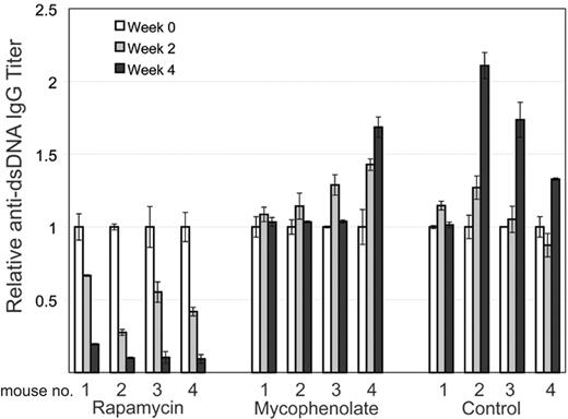 Figure 6. Rapamycin decreases autoantibody production. MRL-lpr mice were randomized to treatment with rapamycin, MMF, or control. Retro-orbital bleeds were obtained every 2 weeks to measure mouse anti-dsDNA IgG-specific antibodies in sera by quantitative ELISA. Mice treated with rapamycin had a statistically significant decrease in average titer levels compared with MMF (0.3 μg/mL vs 5 μg/mL; P < .001) and control (0.3 μg/mL vs 8 μg/mL; P = .001) after 4 weeks of treatment. Figure 6 depicts results of antibody titers for each mouse over time with 4 mice in each treatment group. Results are normalized to titer at initation of treatment for each mouse. Error bars represent SEM.
