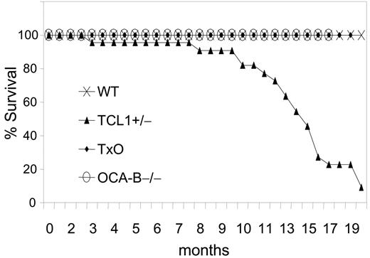Figure 5. The GC is required for B-cell lymphomagenesis in pEμ-B29-TCL1 transgenic mice. Kaplan-Meier survival plot is shown. WT (n = 20), TCL1-tg (n = 22), OCA-B–/– (n = 23), and TxO (n = 25) mice were monitored up to 20 months or until they became moribund, followed by killing and necropsy.