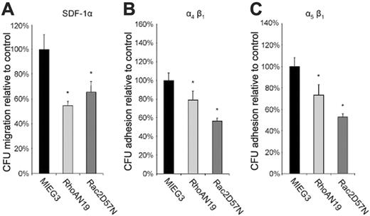 Figure 3. Effect of dominant-negative mutants on migration and adhesion of hematopoietic progenitor (CFU) cells. (A) SDF-1α–directed transwell migration of progenitor (CFU) cells. (B-C) Hematopoietic progenitor cell adhesion via α4β1 and α5β1, respectively, to recombinant fibronectin (see “Materials and methods” for details). In panels A to C, data are normalized to the control group and represent the mean ± SD of 3 independent experiments, *P < .01 versus control group.
