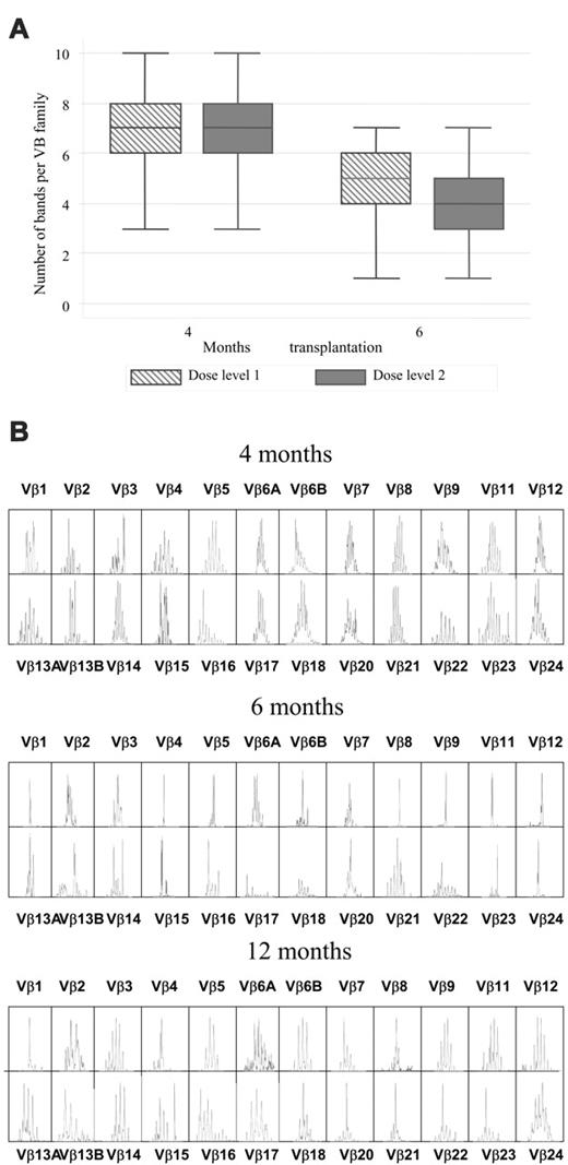 Figure 4. T-cell receptor spectratyping. (A) Boxplot of number of bands per Vβ family (1-24) at 4 and 6 months after SCT for evaluable dose levels 1 and 2 patients. Line indicates mean; box indicates 25th to 75th centile; and error bars indicate 90th and 10th percentile. (B) Representative plots of TCR Vβ repertoire in P11 (dose level 2) at 4, 6, and 12 months after SCT.